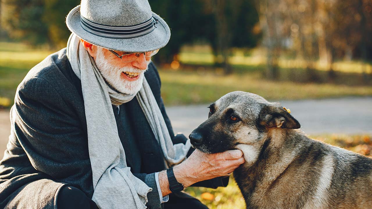 Soins aux animaux âgés et moins valides