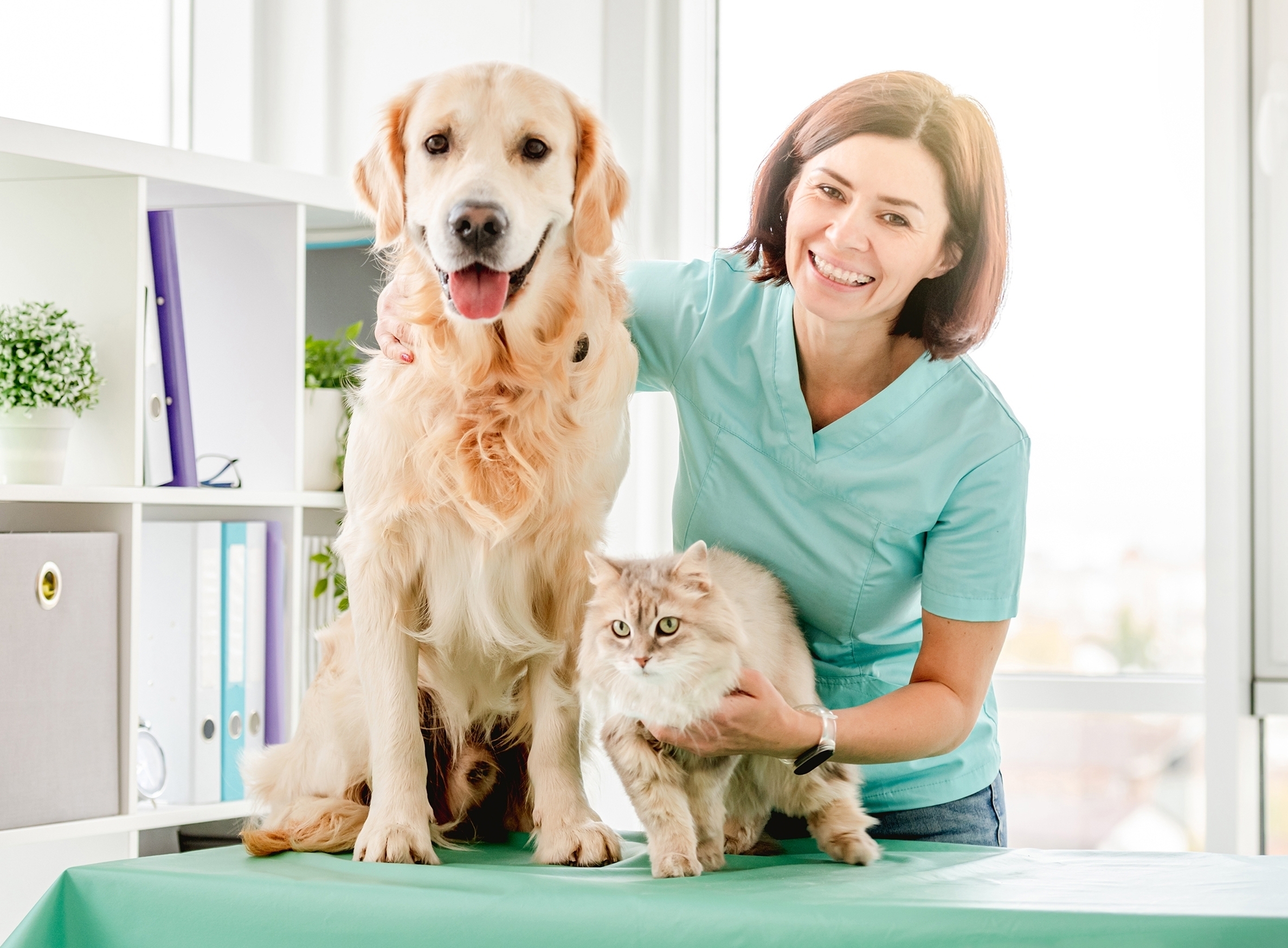 Glimlachende vrouwelijke dierenarts met Golden Retriever hond en pluizige kat